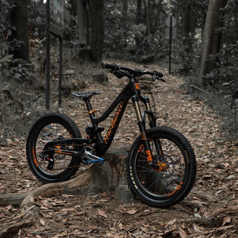 Mega Beast Downhill MTB - 26